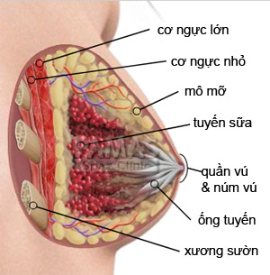 nguc-phu-nu